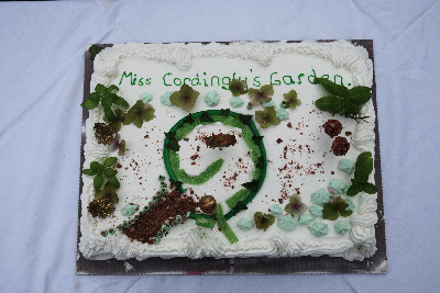 cake